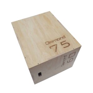 PBD – plyo box (1)