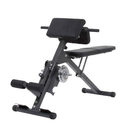 AB & Back Trainer Finnlo by Hammer