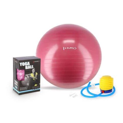 GymBall HMS 65cm Colore Rosa