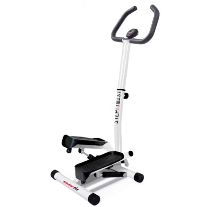 Mini Stepper Everfit Step Twist