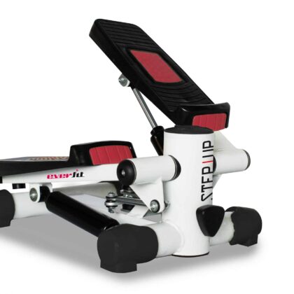 Step Up Everfit