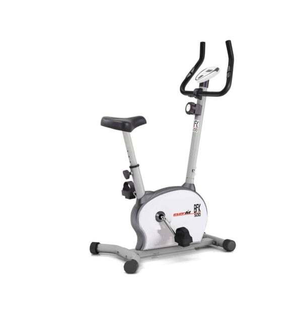 Cyclette Magnetica Everfit BFK 500