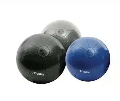 Palla Ginnastica Toorx Pro