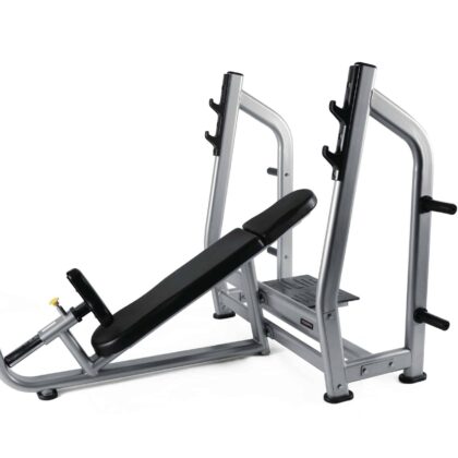 Panca Inclinata Olympic Toorx Professionale WBX-3800 Silver