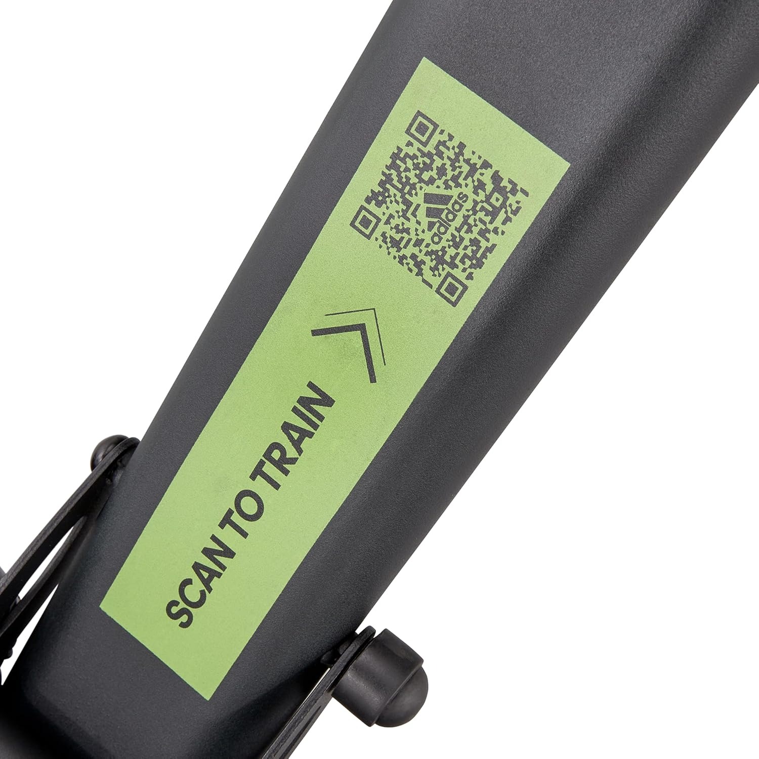 81oIk9FimJL._AC_SL1500 81oIk9FimJL._AC_SL1500